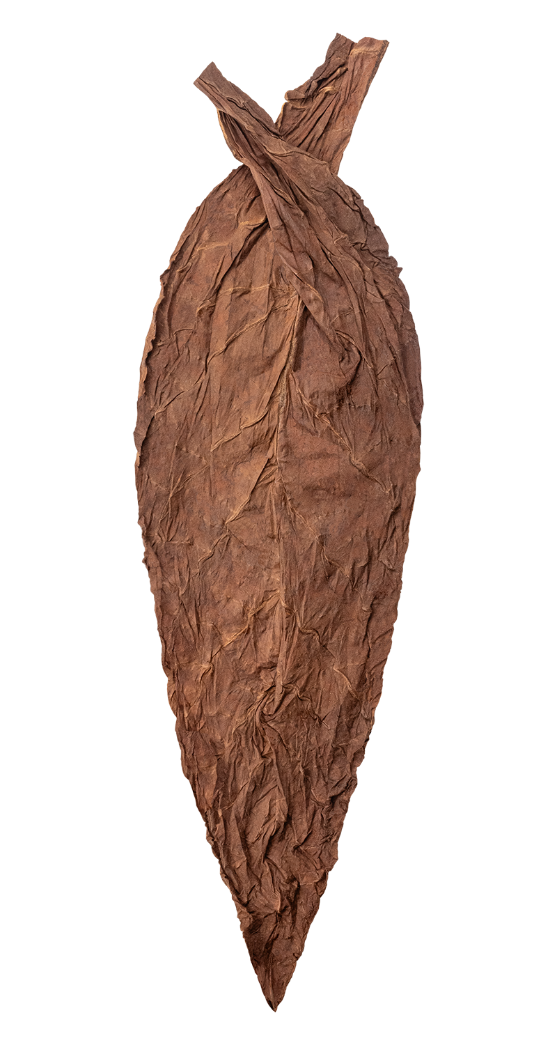 hand of Andes Oro Seco filler-seco tobacco